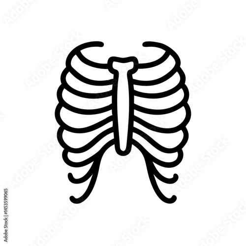 ribs