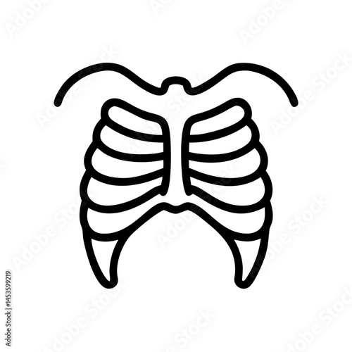 ribs