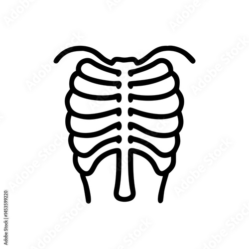 ribs