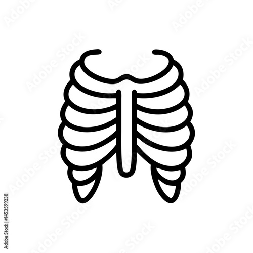 ribs