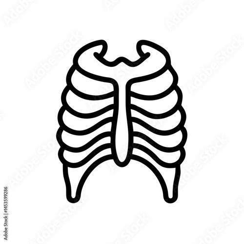 ribs