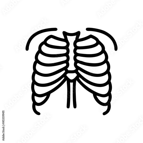 ribs