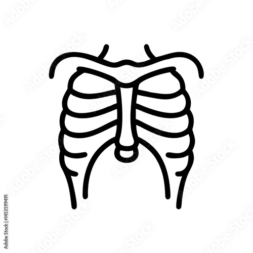 ribs