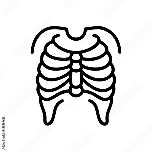 ribs