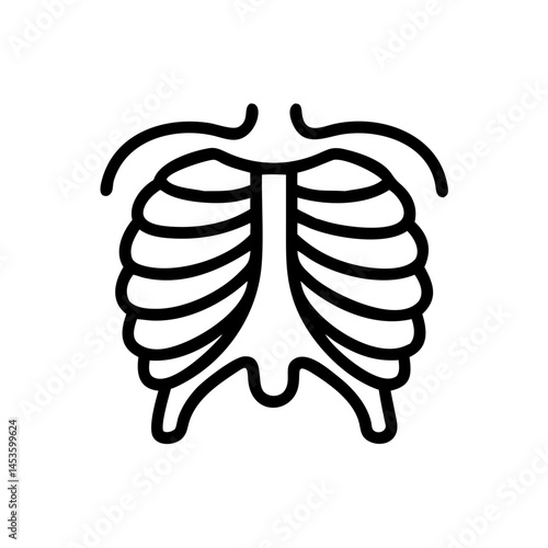ribs
