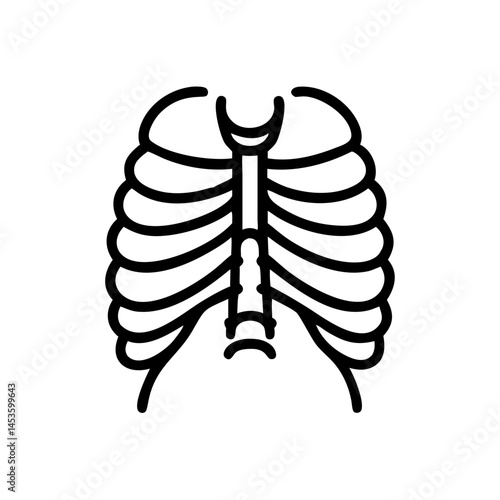 ribs