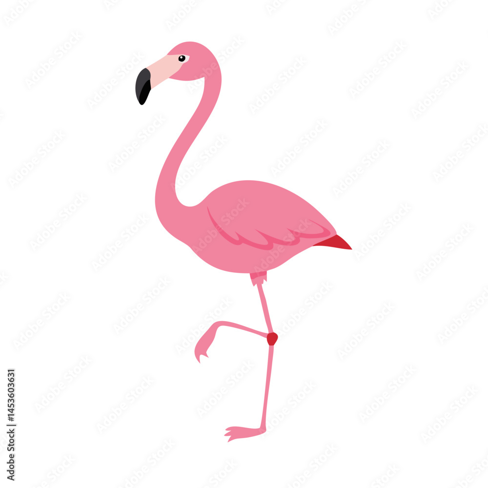 Flamingo: The Elegant Pink Wader Flamingo: The Elegant Pink Wader