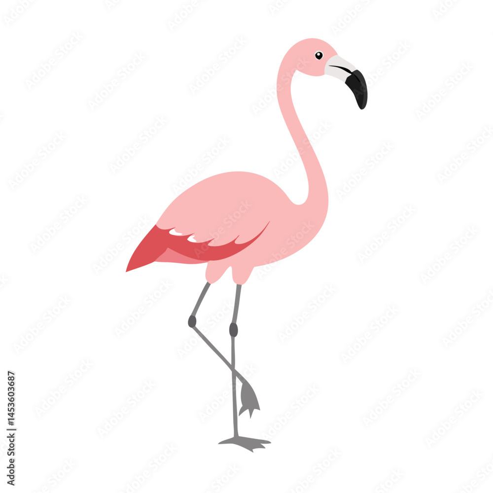 Fototapeta premium Flamingo: The Elegant Pink Wader