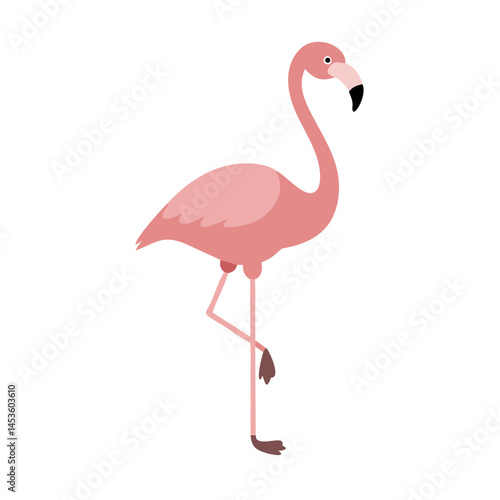 Flamingo: The Elegant Pink Wader