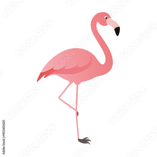 Flamingo: The Elegant Pink Wader
