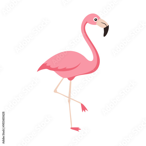 Flamingo: The Elegant Pink Wader