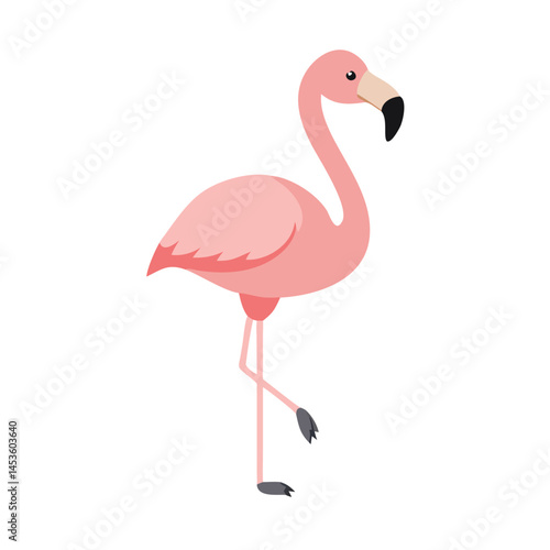 Flamingo: The Elegant Pink Wader