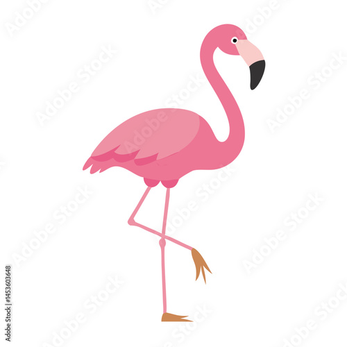 Flamingo: The Elegant Pink Wader