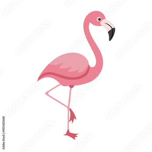 Flamingo: The Elegant Pink Wader