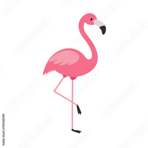 Flamingo: The Elegant Pink Wader