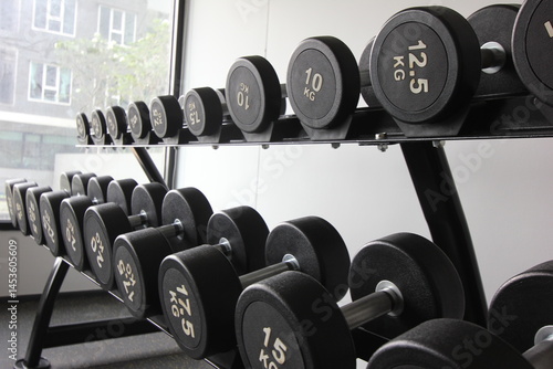 a rack of black dumbbells of varying weights in a gym setting