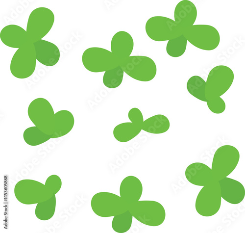 common duckweed or lesser duckweed Leaves Illustration