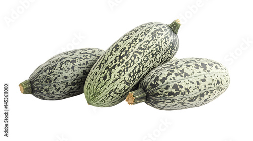 Wallpaper Mural Ash Gourd pile attracts attention Torontodigital.ca