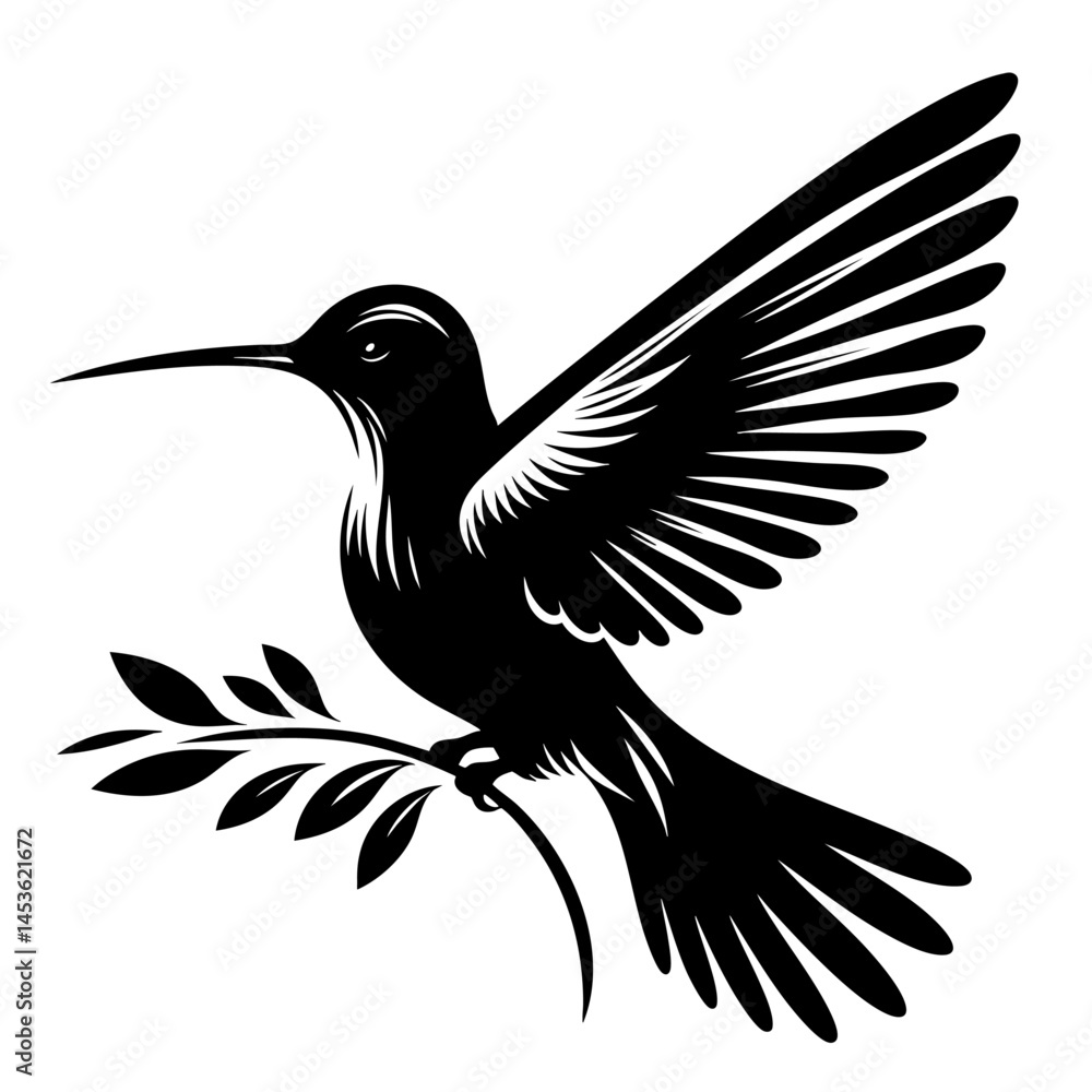 Fototapeta premium Hummingbird in Flight: Black and White Bird Silhouette