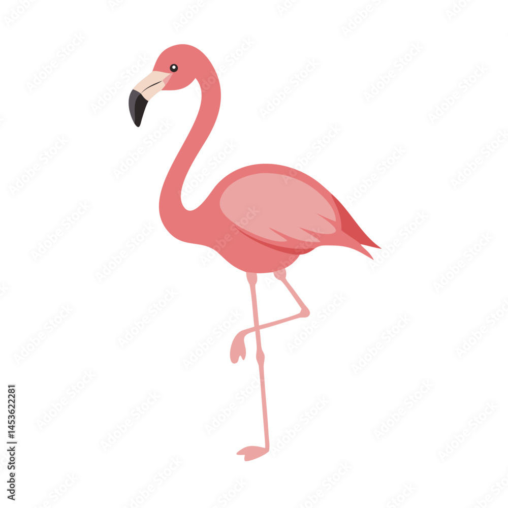 Flamingo: The Elegant Pink Wader Flamingo: The Elegant Pink Wader