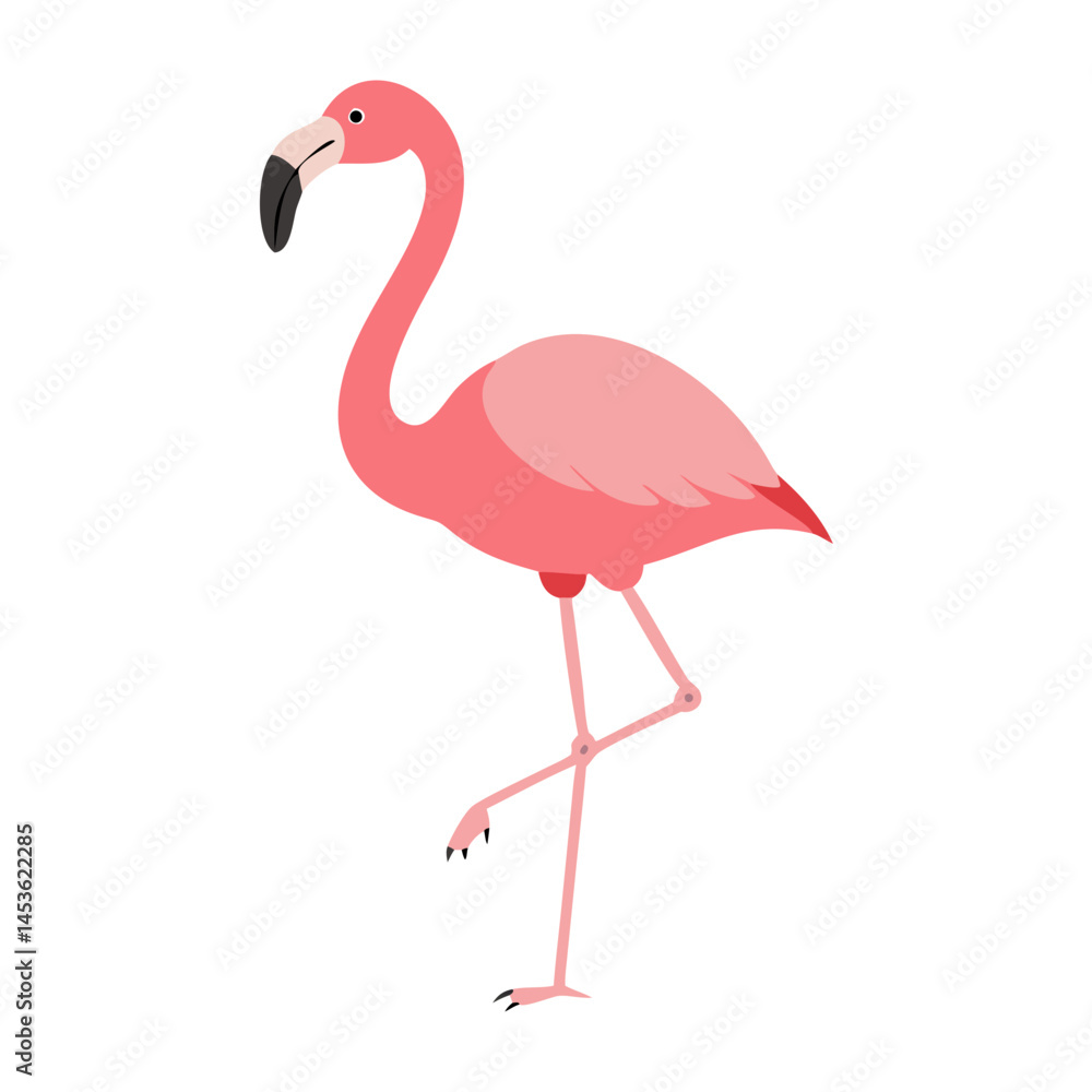 Fototapeta premium Flamingo: The Elegant Pink Wader