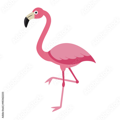Flamingo: The Elegant Pink Wader