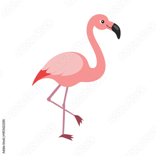 Flamingo: The Elegant Pink Wader