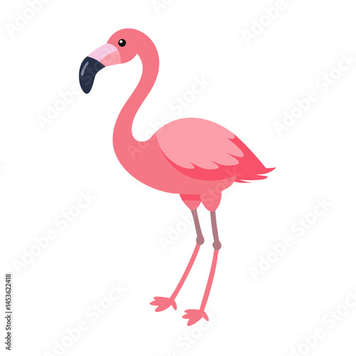 Flamingo: The Elegant Pink Wader