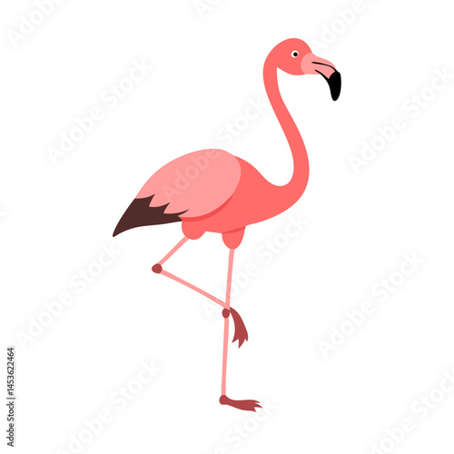 Flamingo: The Elegant Pink Wader