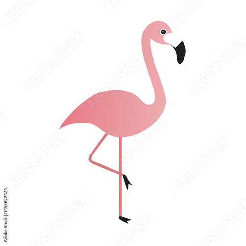 Flamingo: The Elegant Pink Wader
