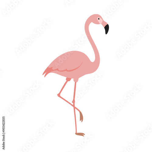 Flamingo: The Elegant Pink Wader