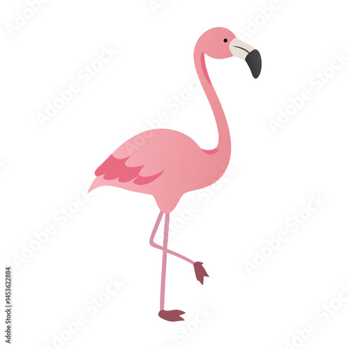 Flamingo: The Elegant Pink Wader