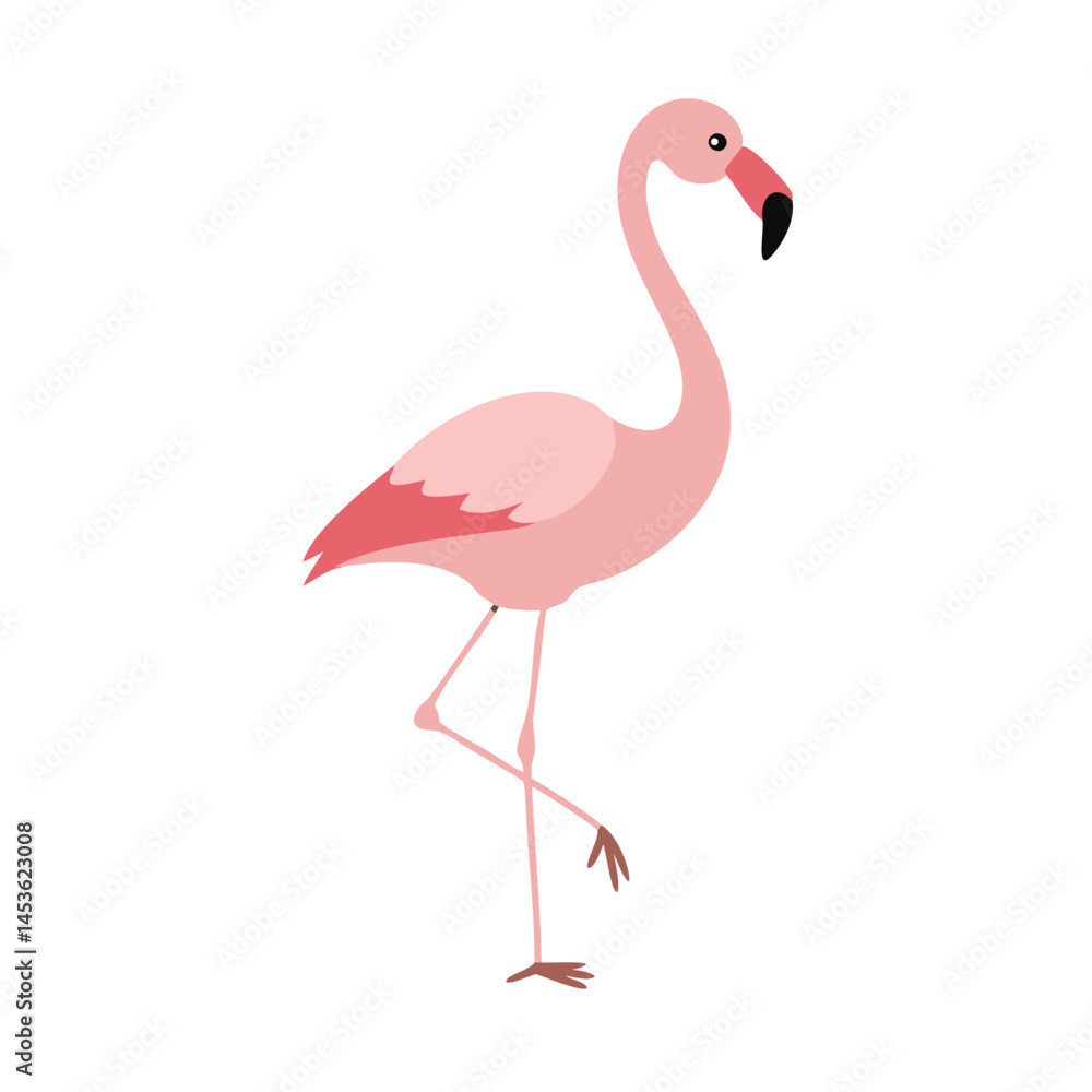 Fototapeta premium Flamingo: The Elegant Pink Wader
