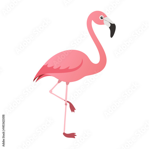 Flamingo: The Elegant Pink Wader