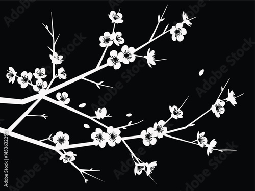 Elegant Black and White Blossom Branch Design