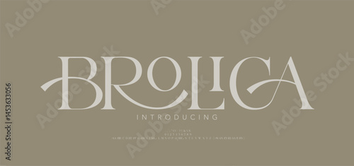 Elegant alphabet beauty logo font. Classic beautiful Modern luxury Serif Letter Minimal Fashion. Typography decoration logotype fonts, wedding, logos. vector illustration