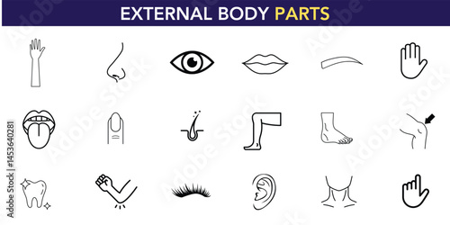 A set of vector icons representing various external human body parts. Black silhouettes on a white background. Anatomy and health-related.