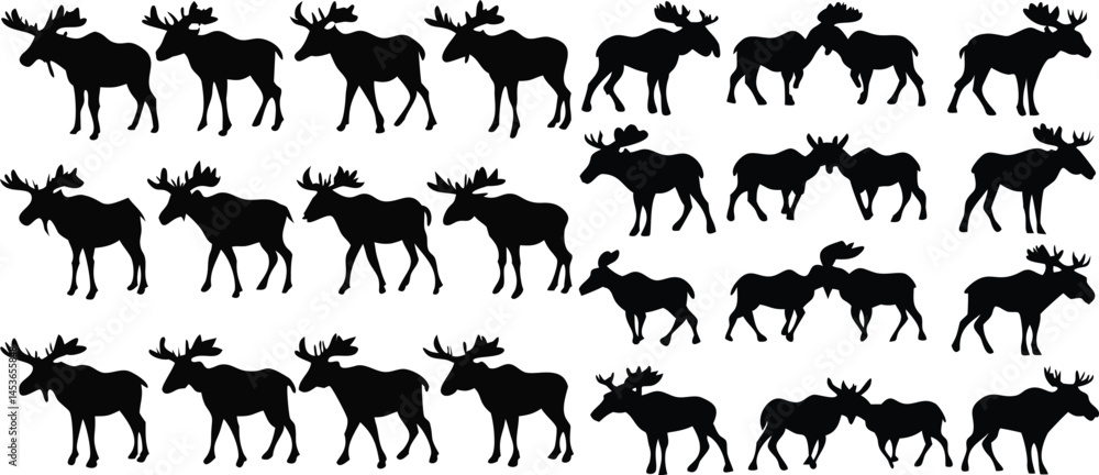 Fototapeta premium Elk moose bull mammal black silhouette animal. Vector Illustrator.