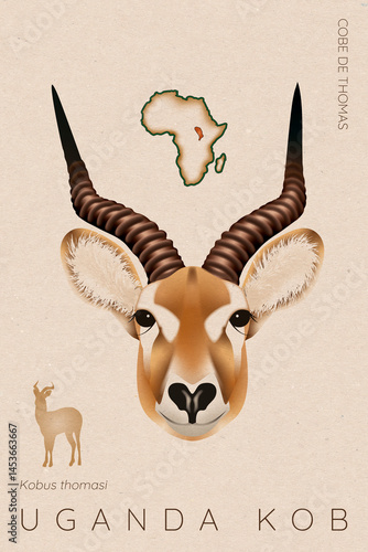 Uganda Kob