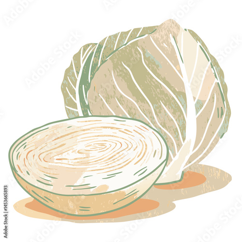 Green Cabbage and Cabbage Halves Displaying Natural Beauty in Minimalist Style, Representing Fresh Ingredients for Healthy Eating