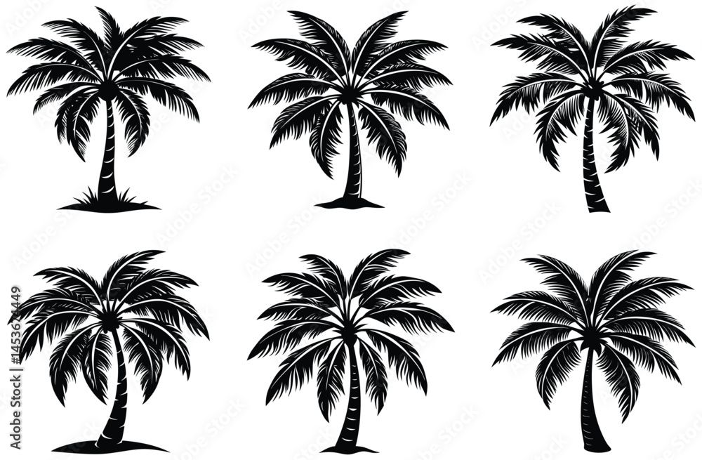Silhouette of palm tree set vector illustration isolated on white background. Silhouette of palm tree set vector illustration isolated on white background.