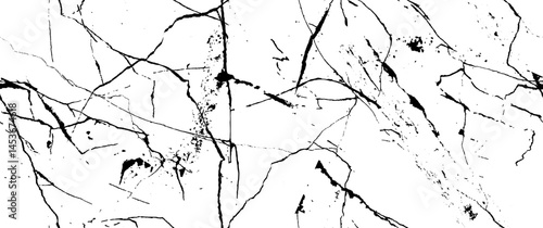 TRspBLUp-19_08.eps