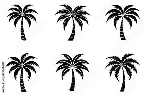 Silhouette of palm tree set vector illustration isolated on white background.
