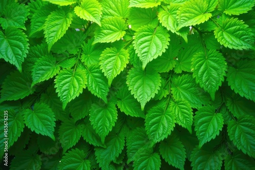 Nature's repeating leaf motif in vibrant greens, nature, repeat