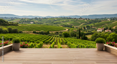 Scenic Vineyard Landscape with Rolling Hills and Blue Sky