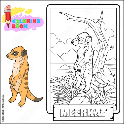 Cute little meerkat, coloring page for kids