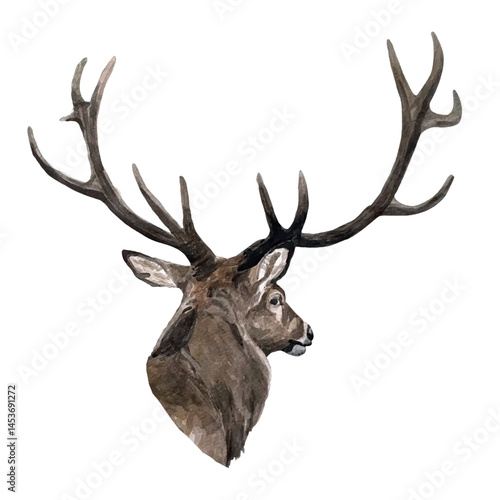 Vector freehand watercolor deer illustration isolated on a white background. Hand drawn watercolour reindeer. Scandinavian handwritten poster	
