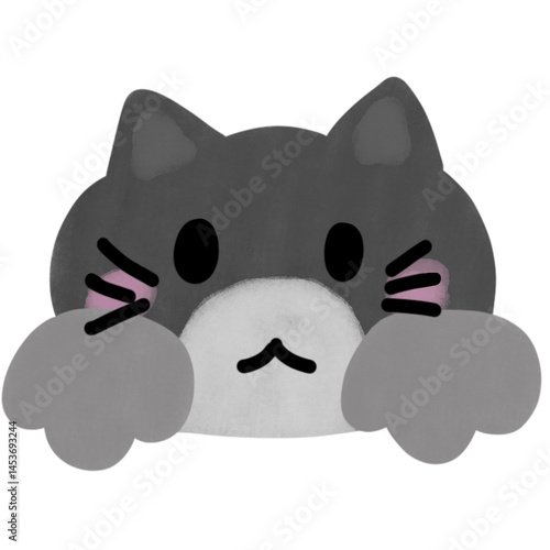 black cat with white background