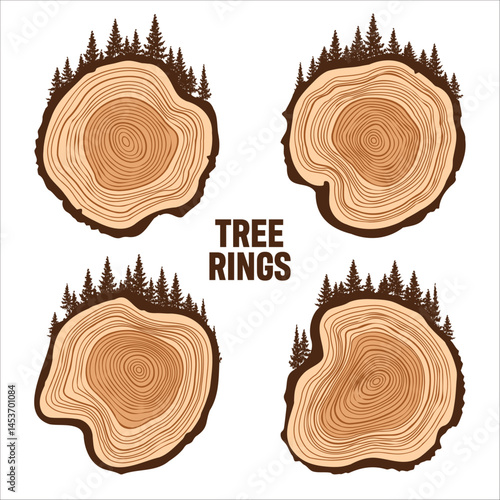 Round tree trunk cuts with trees and forest. Sawn pine or oak slices, lumber. Saw cut timber, wood. Brown wooden texture with tree rings. Hand drawn sketch. Vector illustration