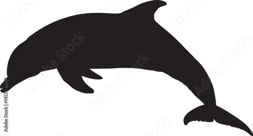 Sleek dolphin silhouette diving. Represents marine life, intelligence, and ocean beauty. Adobe Illustrator Artwork